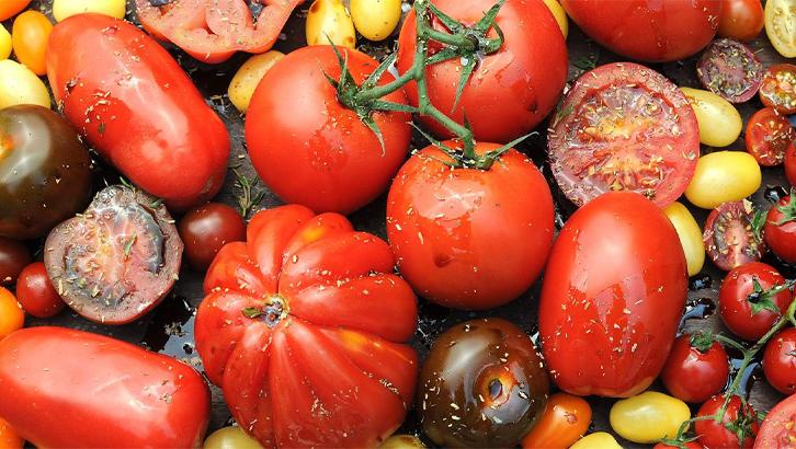 2022_08_2-attualita-pomodori-interna 2022_08_2-attualita-pomodori-interna
