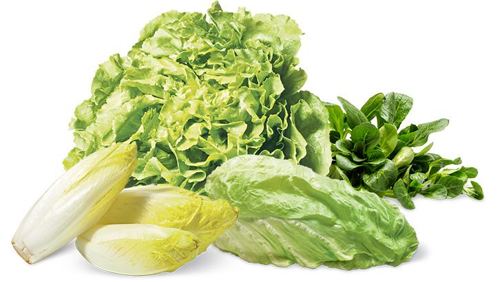 2023_02_20-attualita-insalata-interna