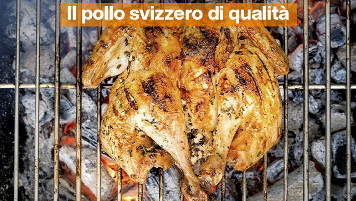 2023_07_03-attualita-pollo-copertina