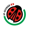 coccinella