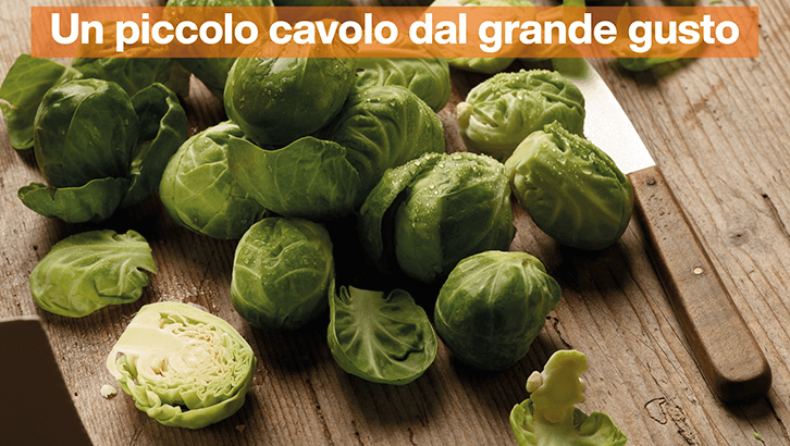 img-redazionale-set40-Un piccolo cavolo dal grande gusto