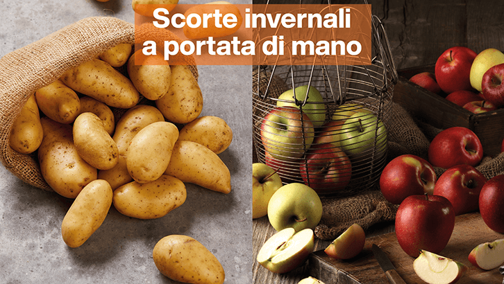 img-redazionale-set41-Scorte invernali a portata di mano