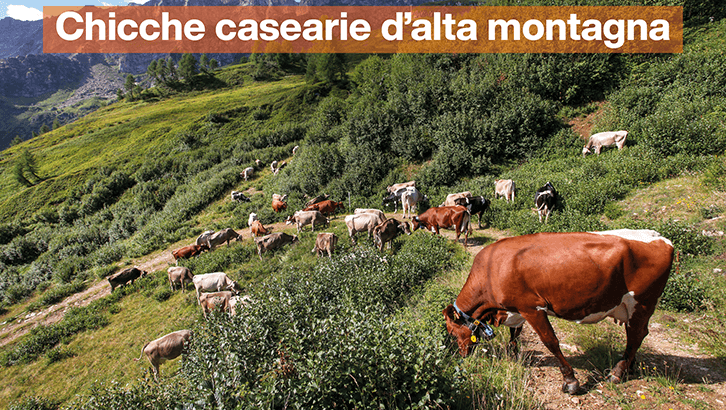 img-redazionale-set42-Chicche casearie d’alta montagna