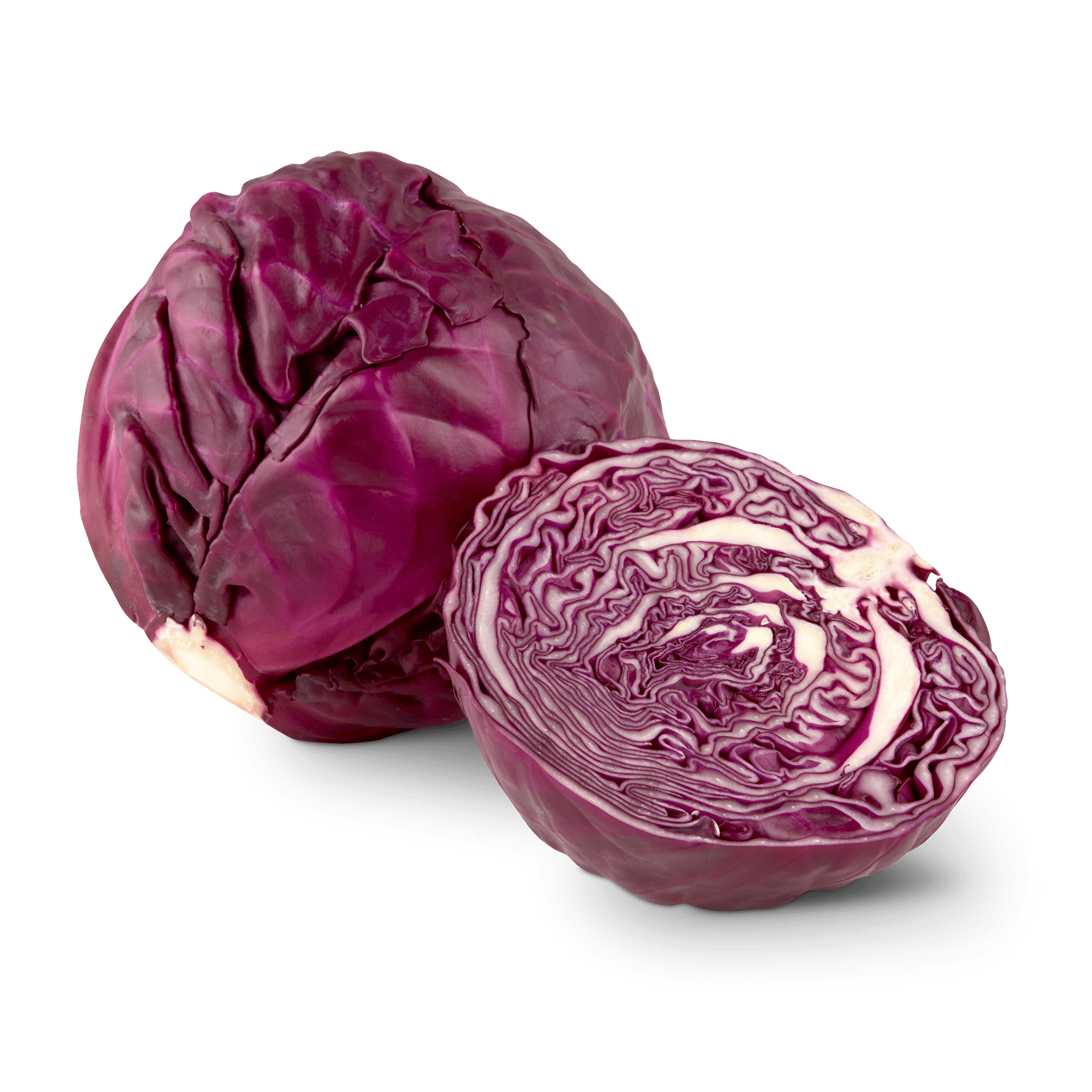 cavoloRosso