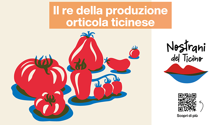 img-Il re della produzione orticola ticinese-sett30-1