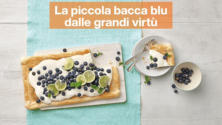 img-La piccola bacca blu dalle grandi virtù-1
