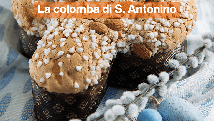 img-La colomba di S. Antonino-sett 15-1