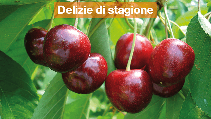 img-Delizie di stagione-sett24-1