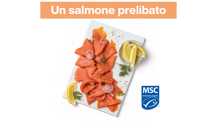 img sett49 Un salmone prelibato