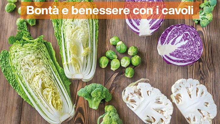 img sett06 Bonta e benessere con i cavoli