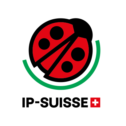 coccinella