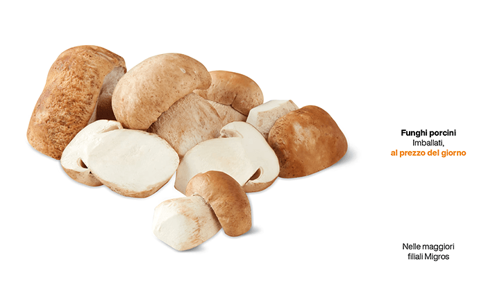 img sett41 Porcini che bonta