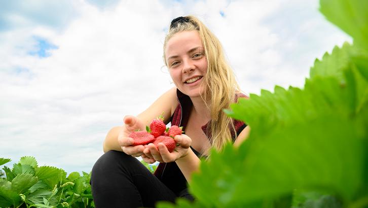 2023_04_24-attualita-fragole-interna
