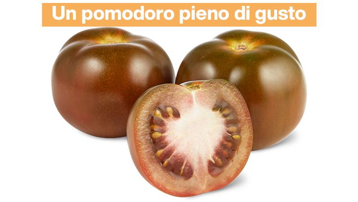 2023_05_29-attualita-pomodoro-copertina