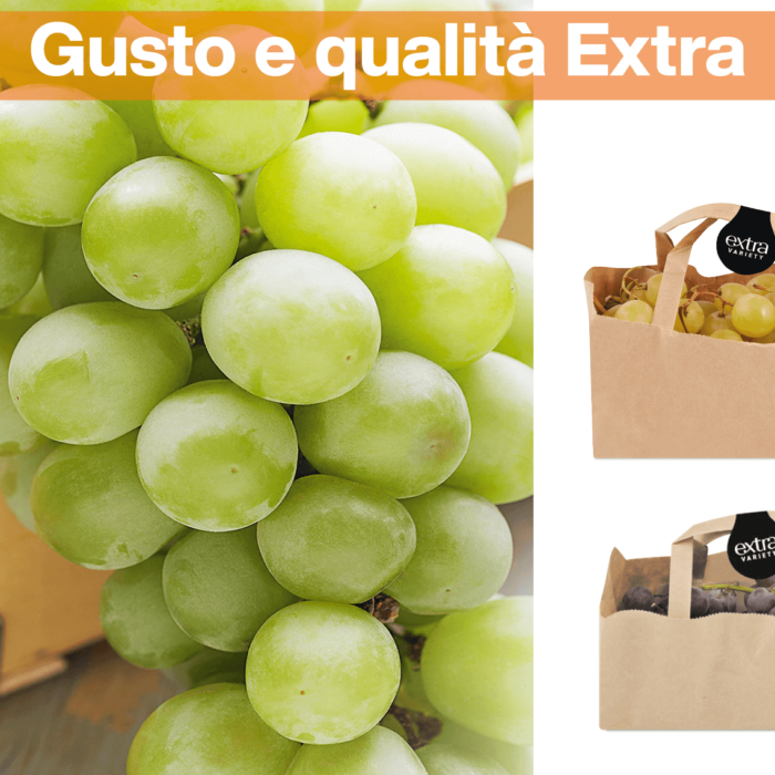 img-redazionale-Gusto e qualità Extra