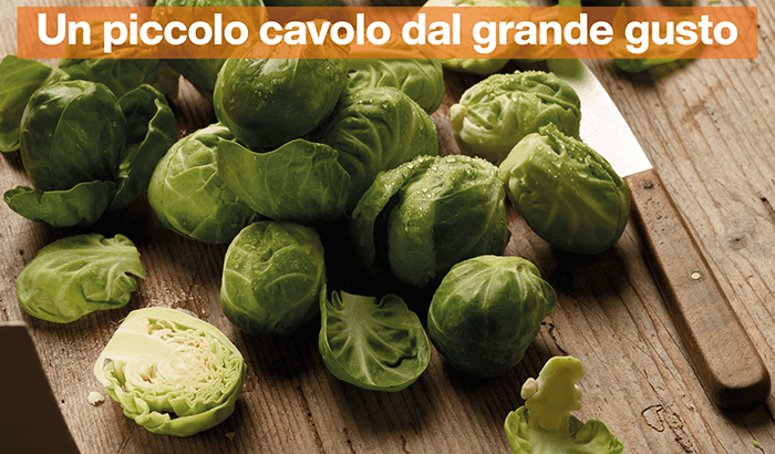 img-redazionale-set40-Un piccolo cavolo dal grande gusto