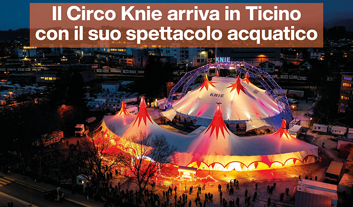 img-redazionale-Il Circo Knie arriva in Ticino con il suo spettacolo acquatico-set45-1