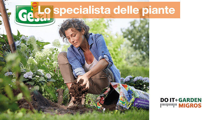 img-Lo specialista delle piante-sett17-1