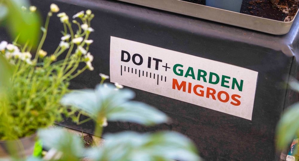 2025-05-07_D+G Migros Losone2