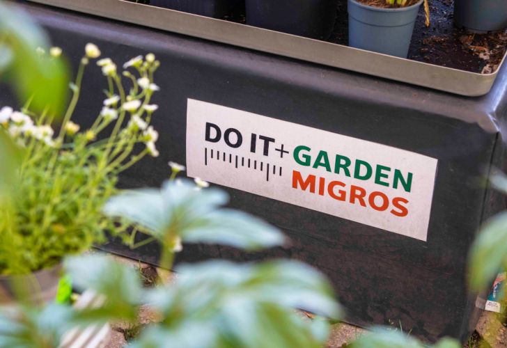 2025-05-07_D+G Migros Losone2