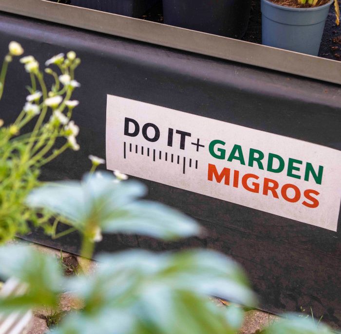 2025-05-07_D+G Migros Losone2
