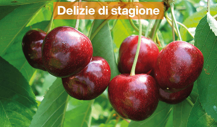 img-Delizie di stagione-sett24-1
