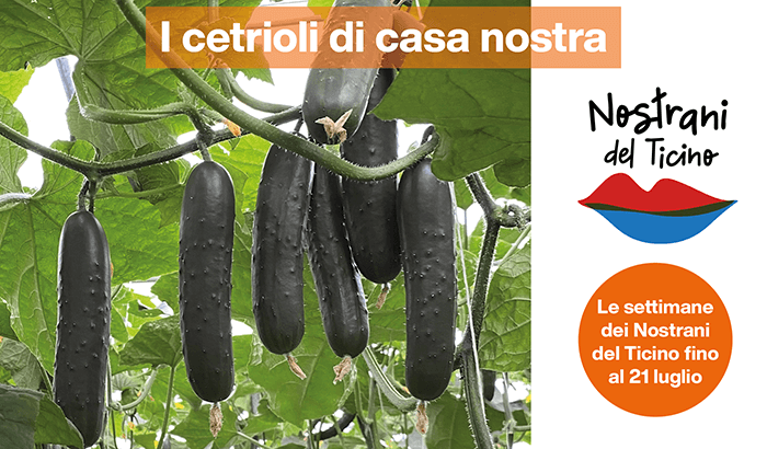 img-I cetrioli di casa nostra-sett29-1