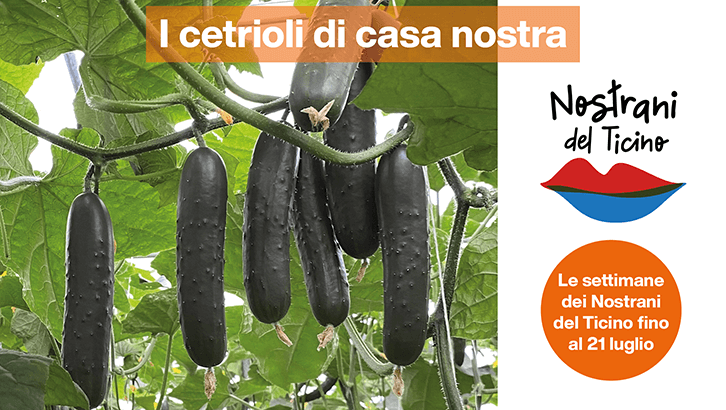 img-I cetrioli di casa nostra-sett29-1