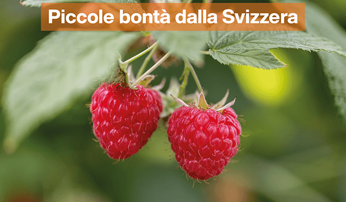 Piccole bonta dalla Svizzera sett31
