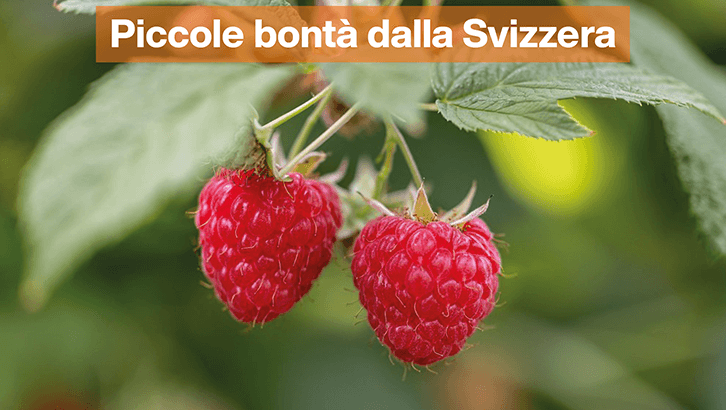 Piccole bonta dalla Svizzera sett31