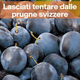lasciati tentare dalle prugne svizzere sett34 1
