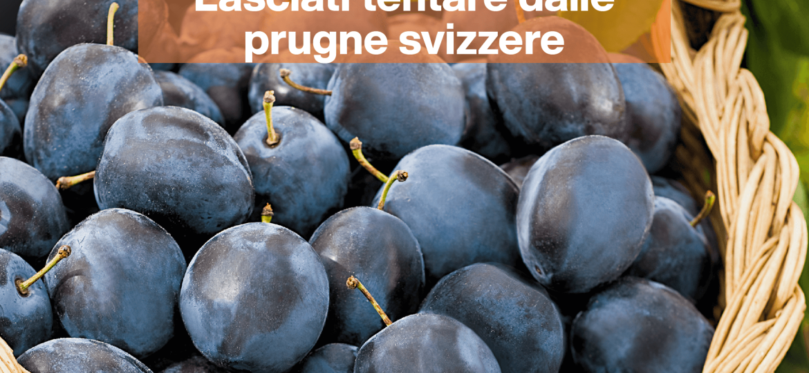 lasciati tentare dalle prugne svizzere sett34 1