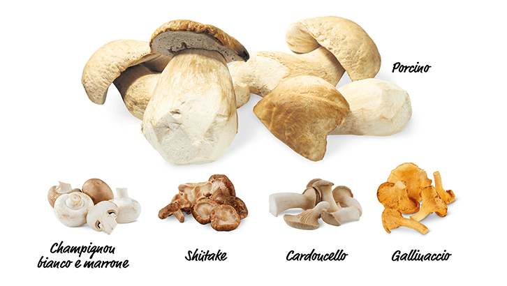 sett39 L appetito vien coi funghi Porcino Champignou bianco e marrone shutake cardoucello galliuaccio