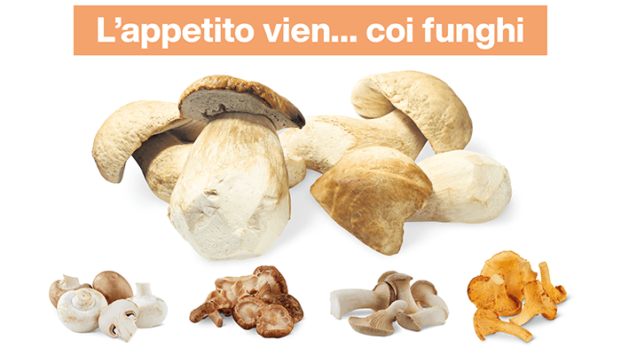 sett39 L appetito vien coi funghi