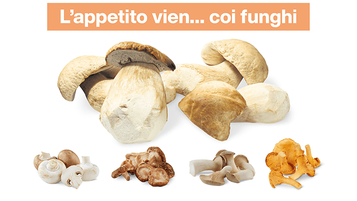 sett39 L appetito vien coi funghi