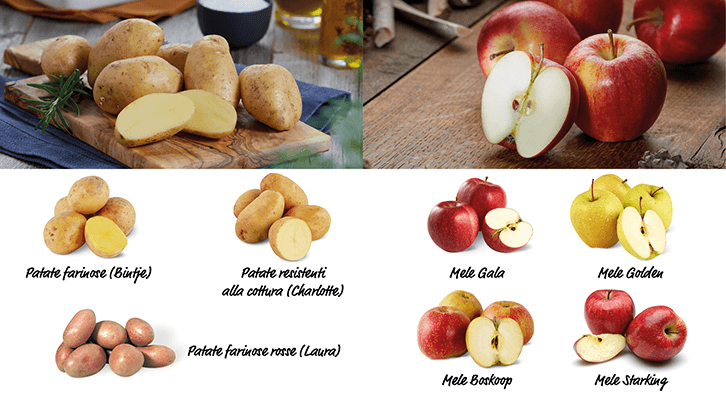 sett40 Scorte per l inverno Patate farinose Bintje Patate farinose rosse Laura Patate resistenti alla cottura Charlotte Mele Gala Mele Golden Mele Boskoop Mele Starking