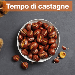 img sett42 Tempo di castagne