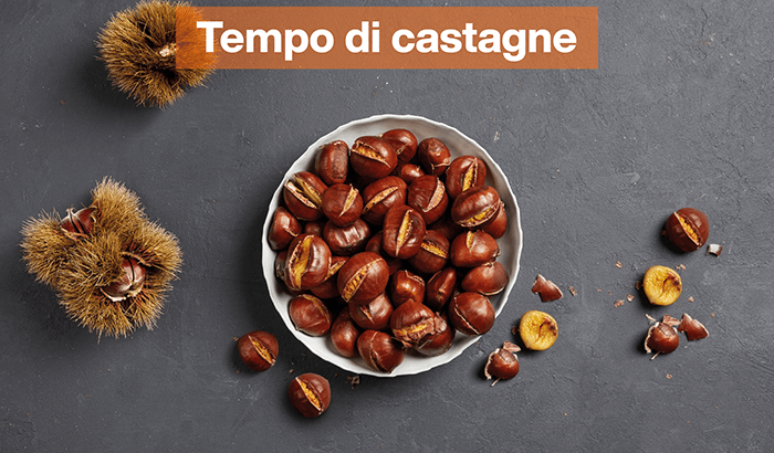 img sett42 Tempo di castagne