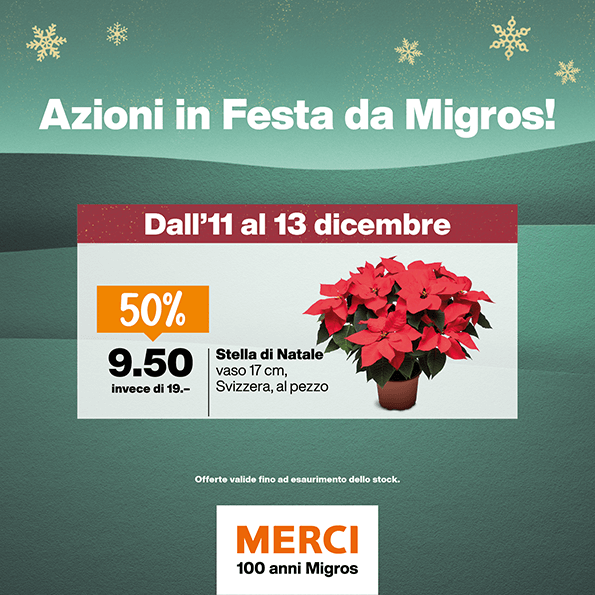 6 landing Dall 11 al 13 dicembre Stella di Natale