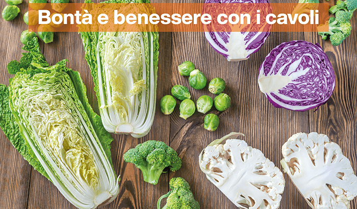img sett06 Bonta e benessere con i cavoli