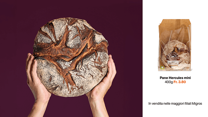 img sett09 Pane Hercules mini img sett09 Pane Hercules mini
