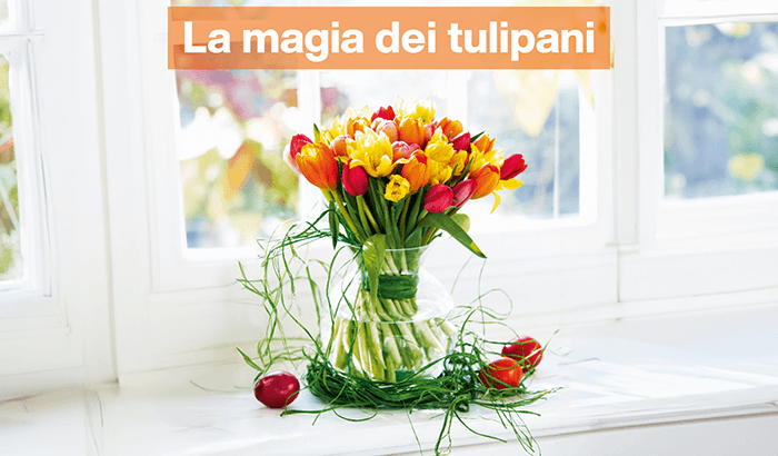 img sett11 La magia dei tulipani