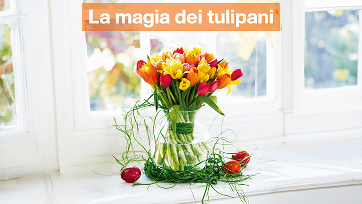 img sett11 La magia dei tulipani