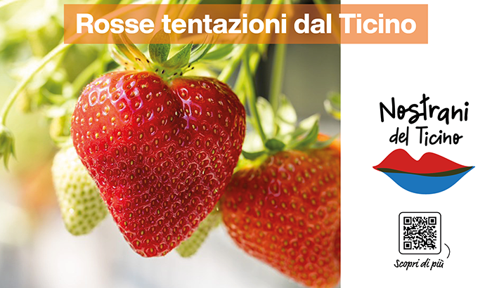 img_sett20 Rosse tentazioni dal Ticino