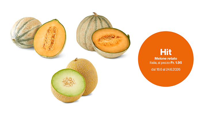 img sett25 Melone retato Melone Charentais Melone Galia img sett25 Melone retato Melone Charentais Melone Galia