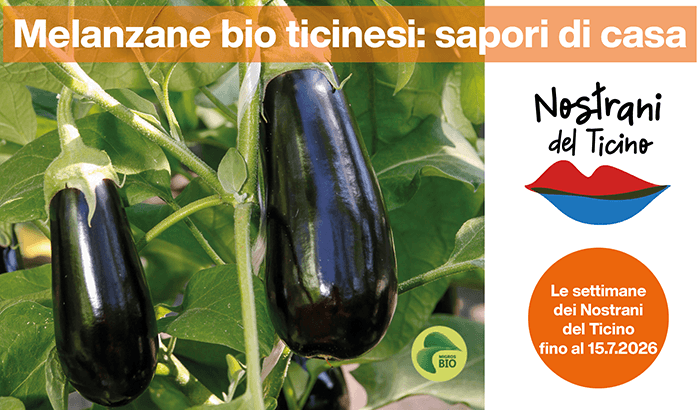 img sett27 Melanzane bio ticinesi sapori di casa