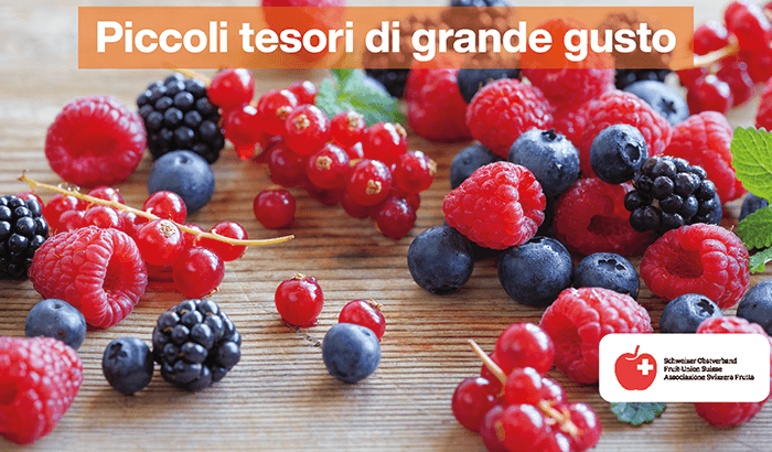 img sett32 Piccoli tesori di grande gusto